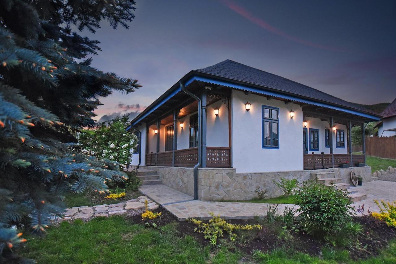 Magnetic House Villa Tirgu Ocna Exterior photo