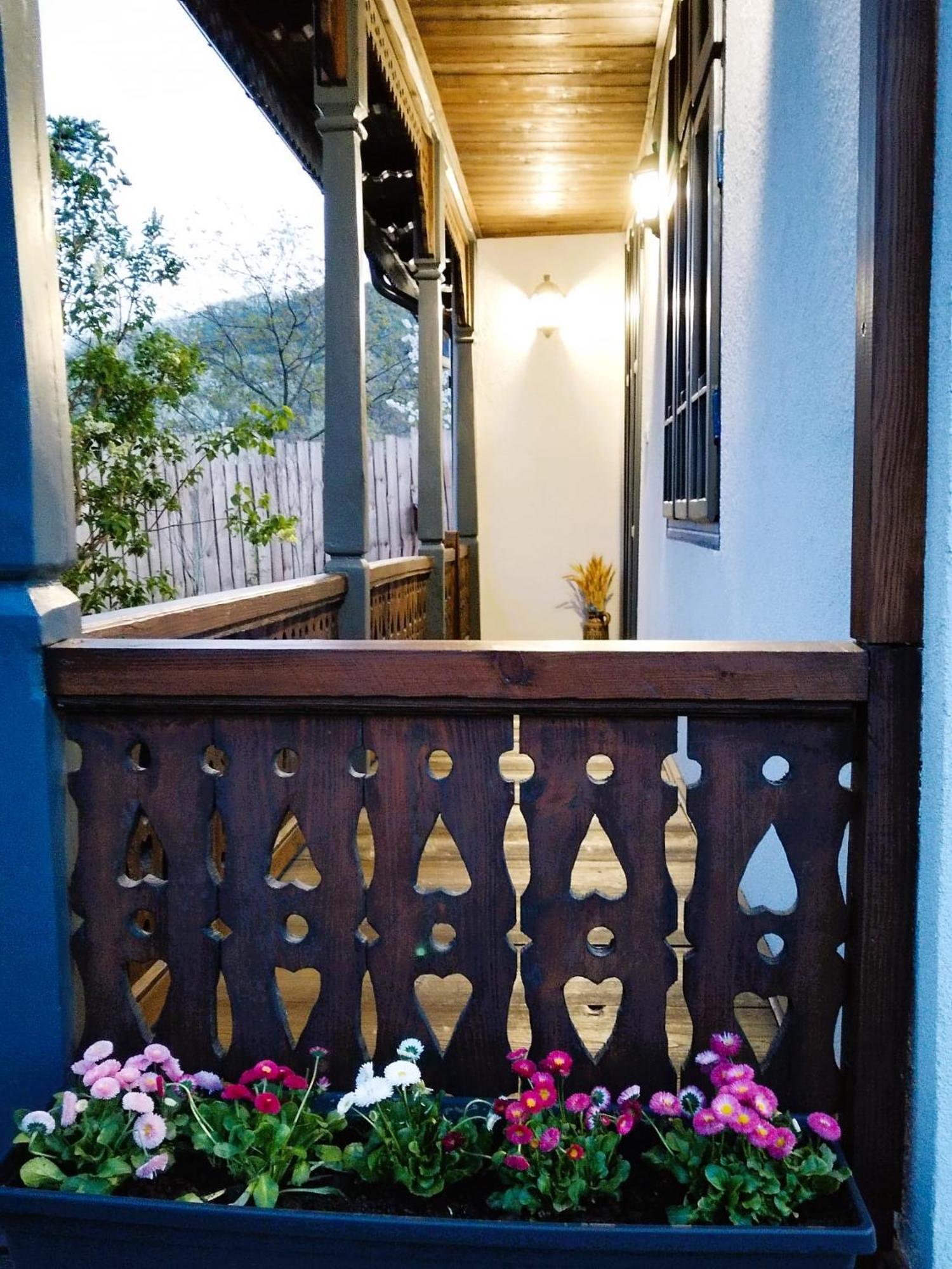 Magnetic House Villa Tirgu Ocna Exterior photo